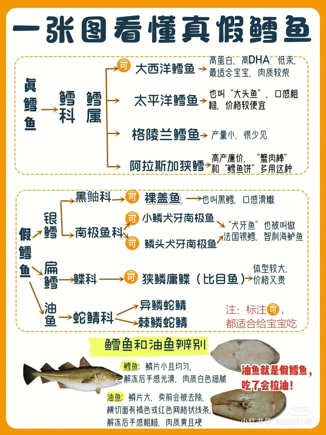 控鱼器的制作方法图解图片