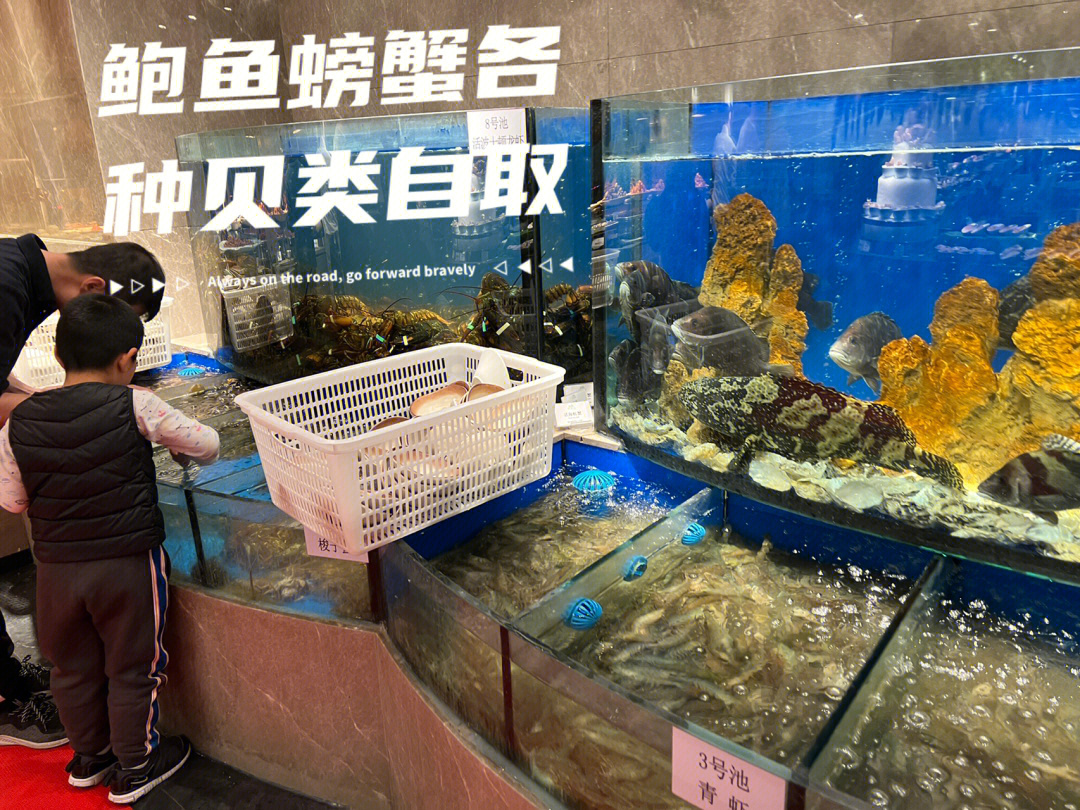 北京海鲜自助龙虾螃蟹车厘子自由