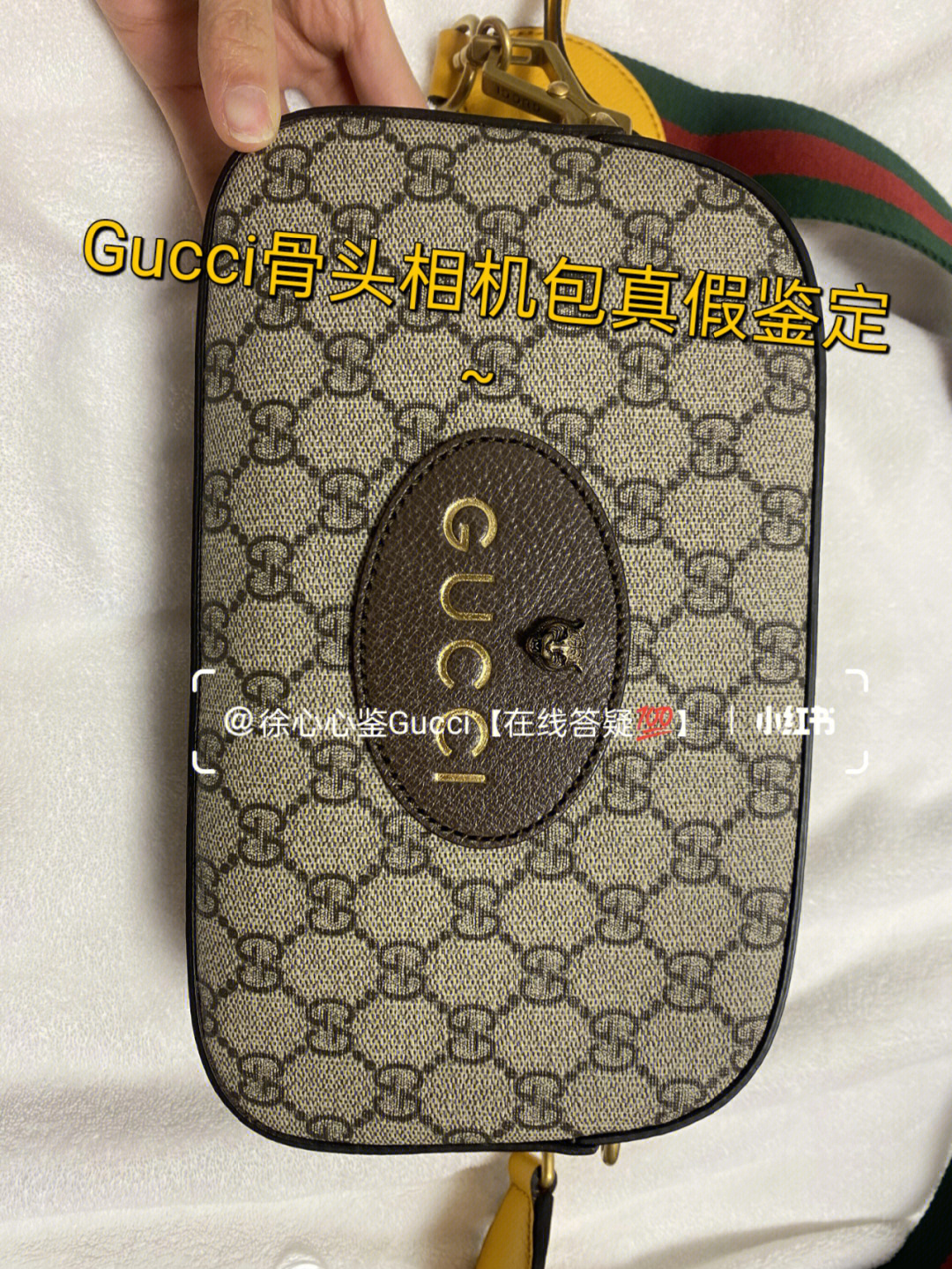 gucci骨头相机包真假鉴定正品范例分享