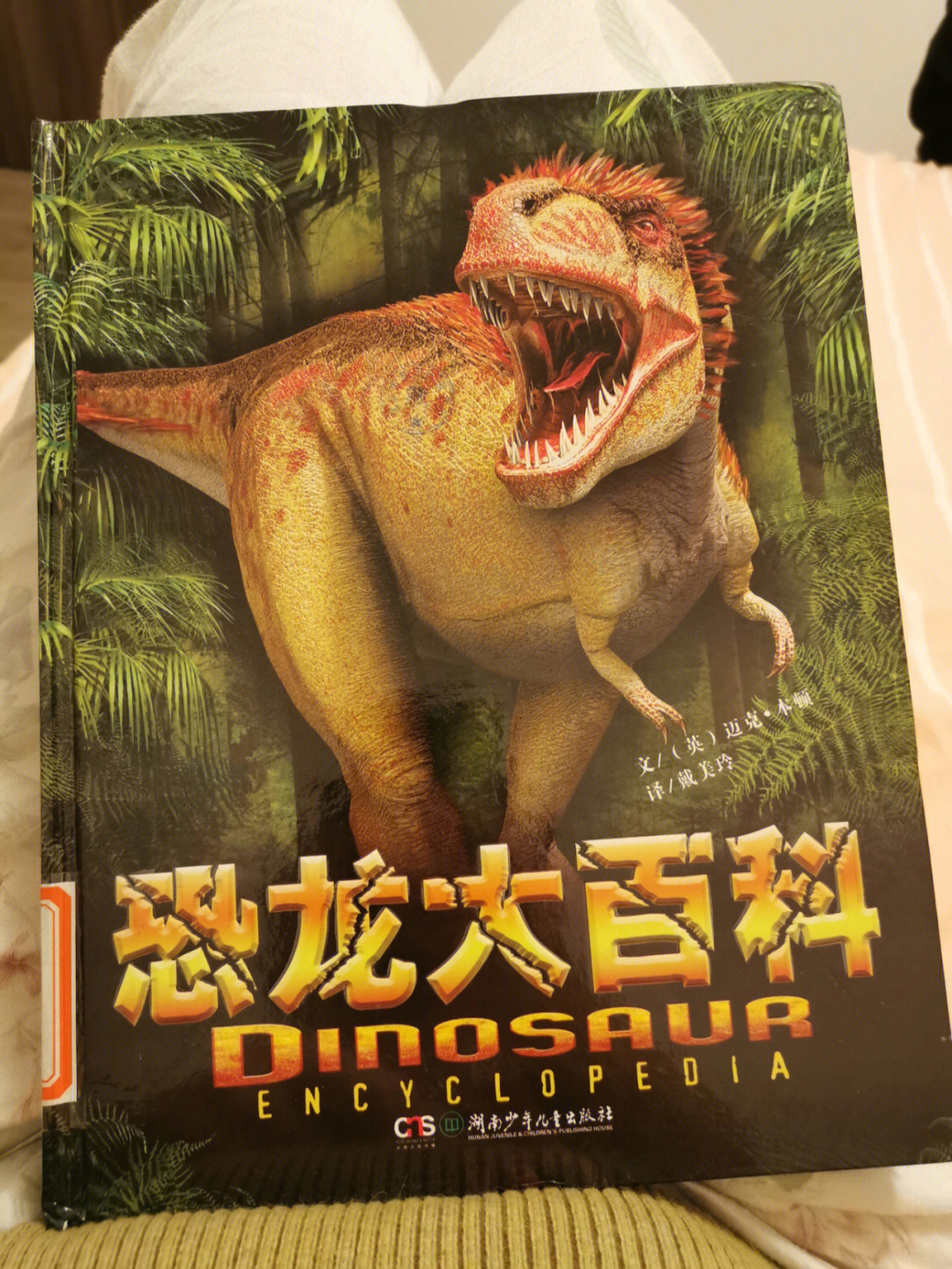 昨晚陪小孩讲了一个小时《恐龙大百科》,讲到翼龙不是恐龙,而是侏罗纪