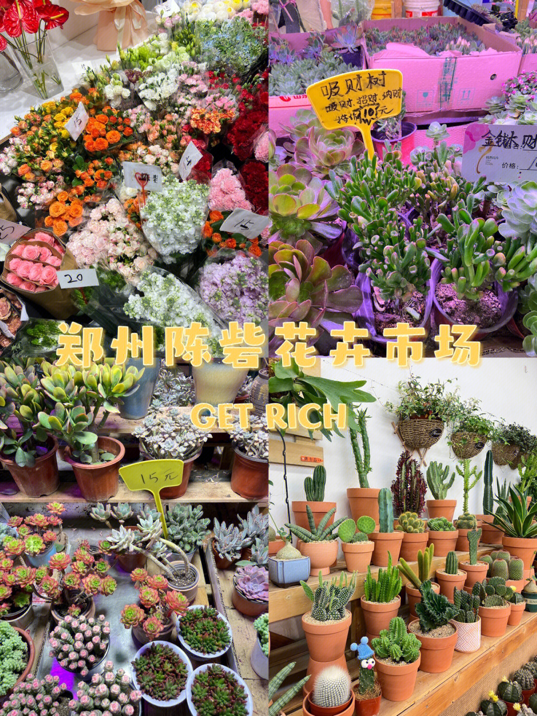 郑州陈砦花卉市场