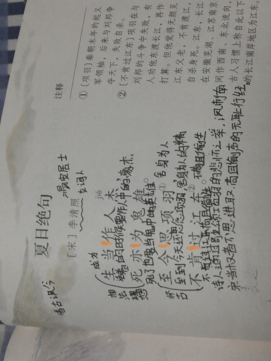 清平乐村居的课堂笔记图片