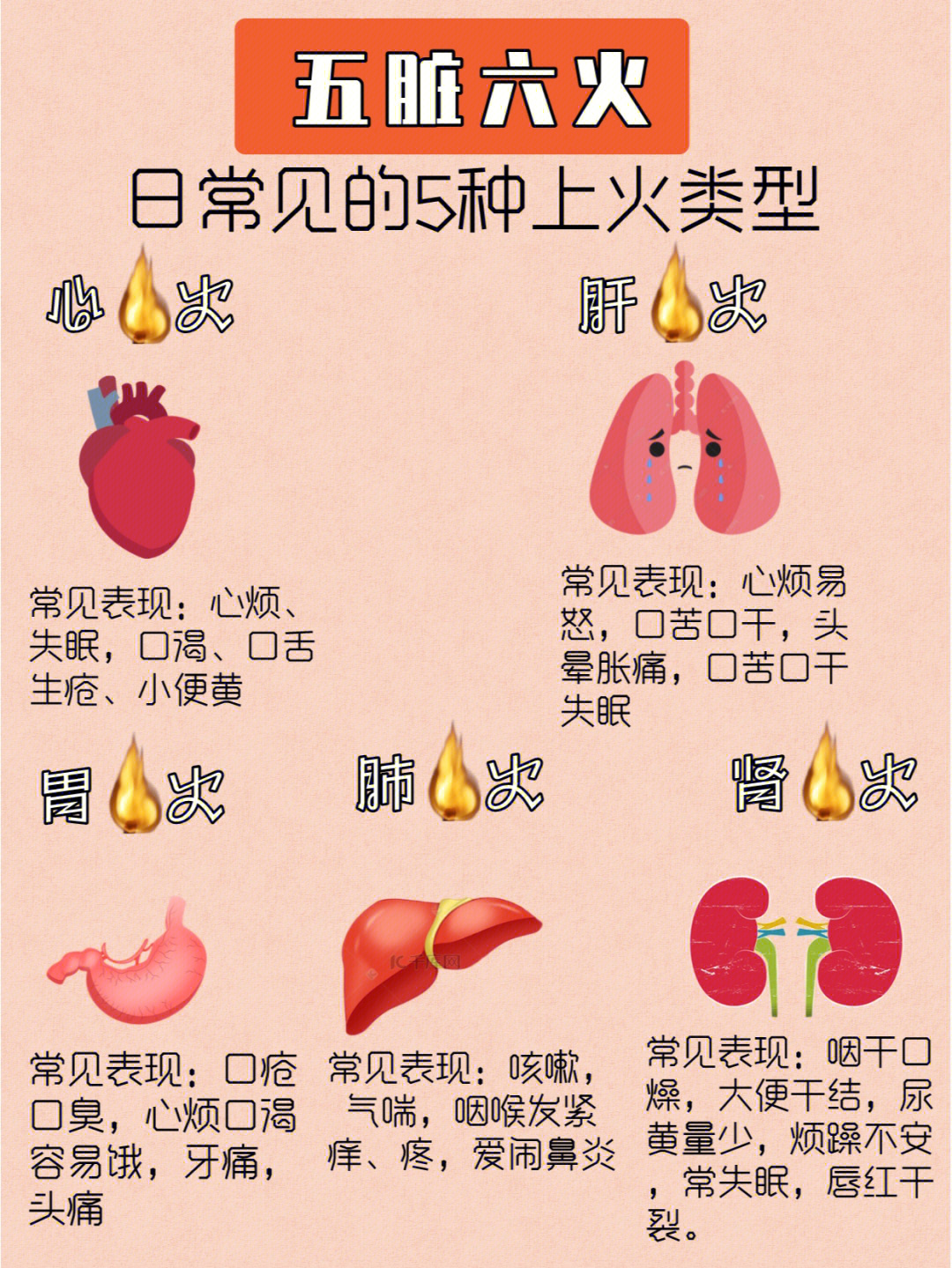 导赤散说明书图片