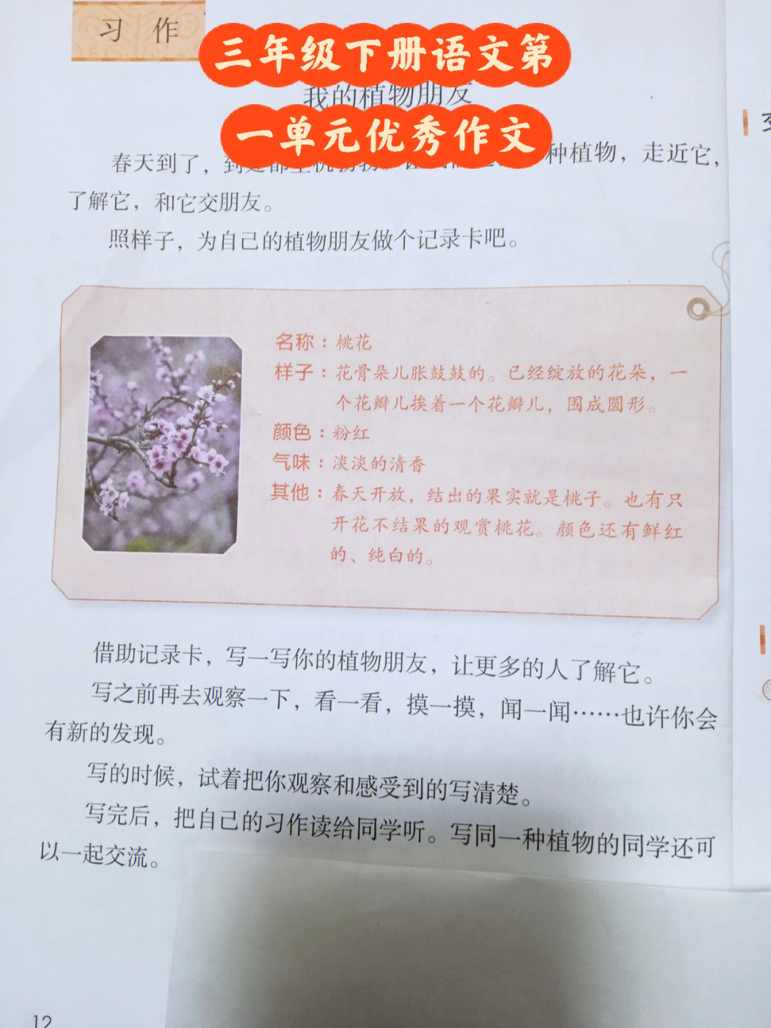 三年级下册语文第一单元我的植物朋友习作