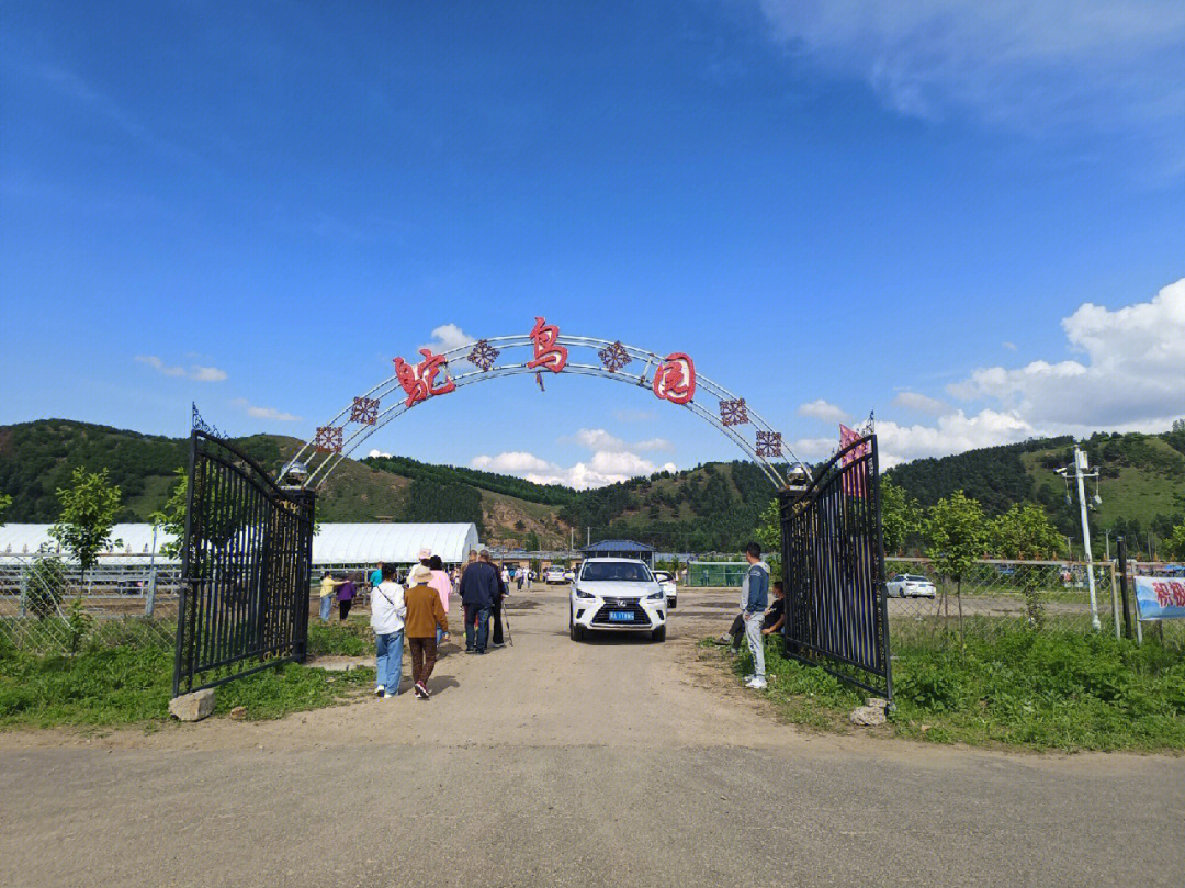 巩义小黄冶鸵鸟园图片