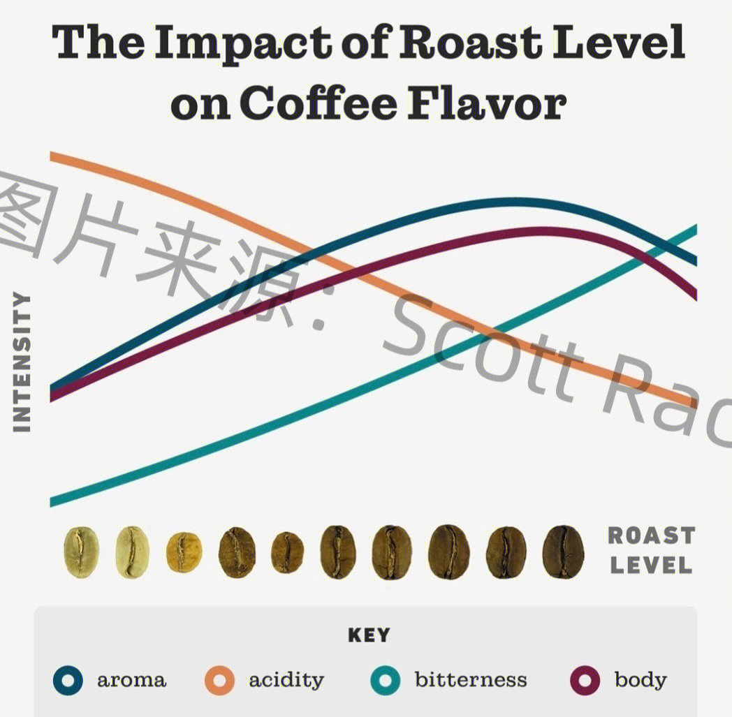 12款咖啡烘焙曲线图片