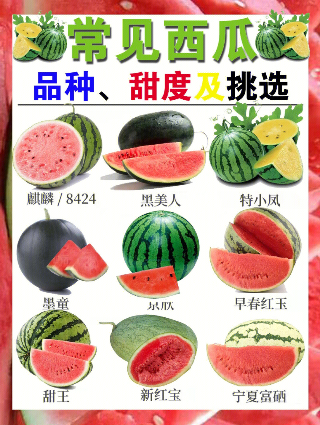 庆红甜冠西瓜品种介绍图片