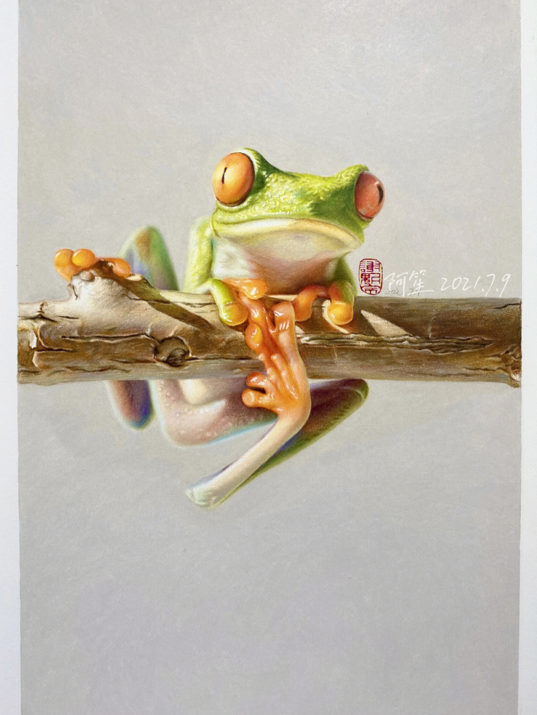 彩铅画树蛙