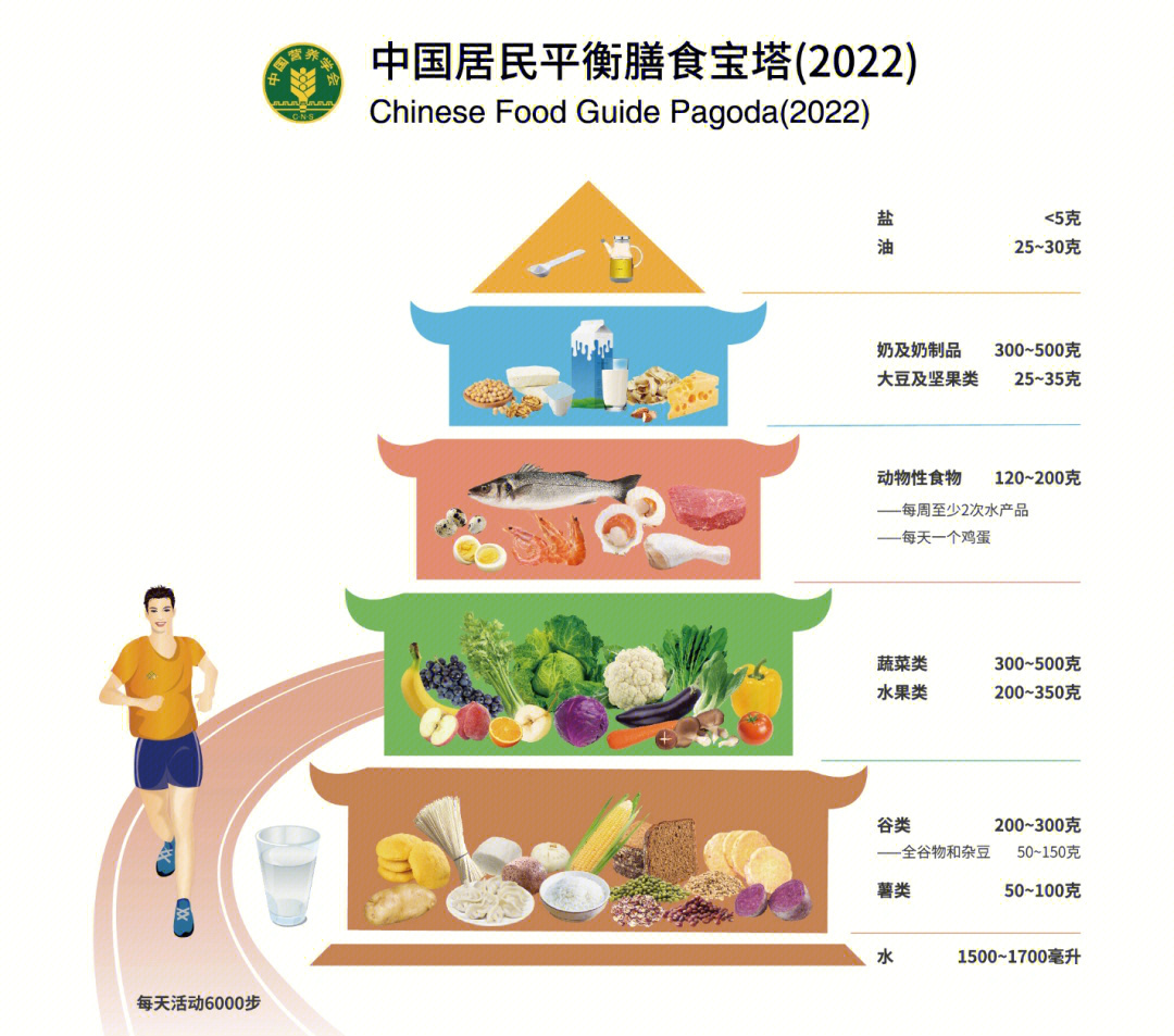 食物金字塔5层五层图片