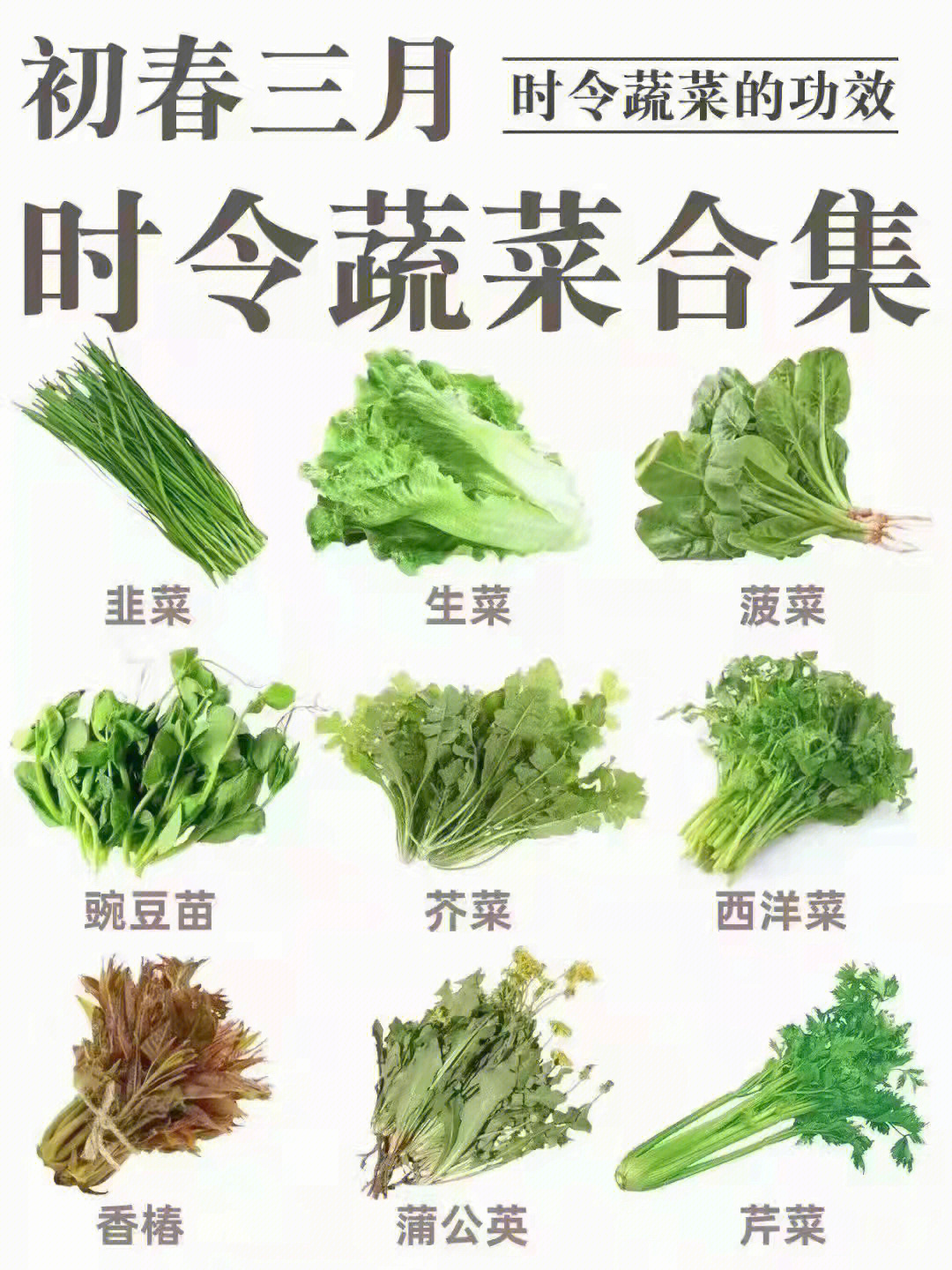 顺应自然生长的当季蔬菜通常是最适合当季食补的食材#健康养生