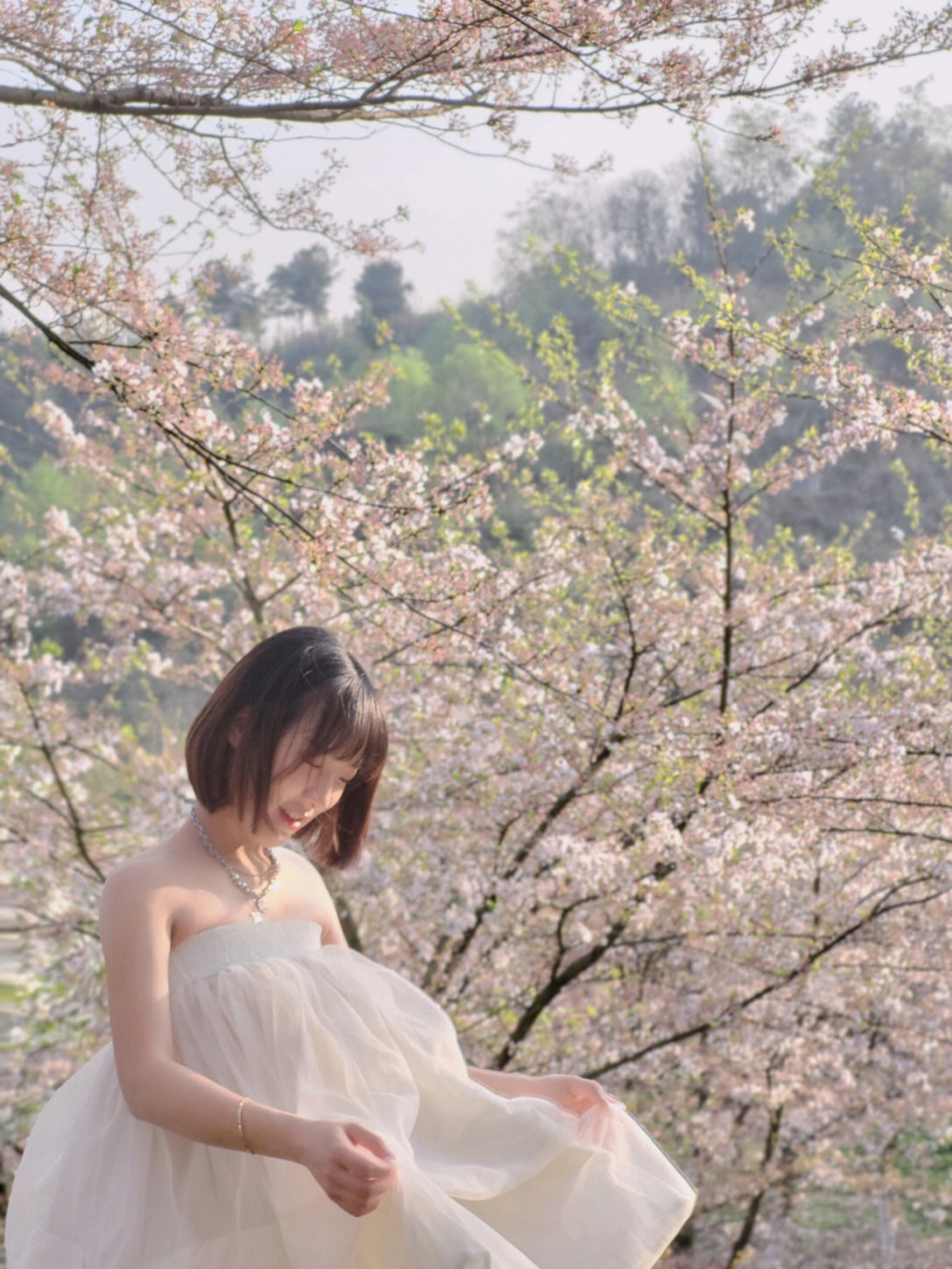 我与樱花合影图片