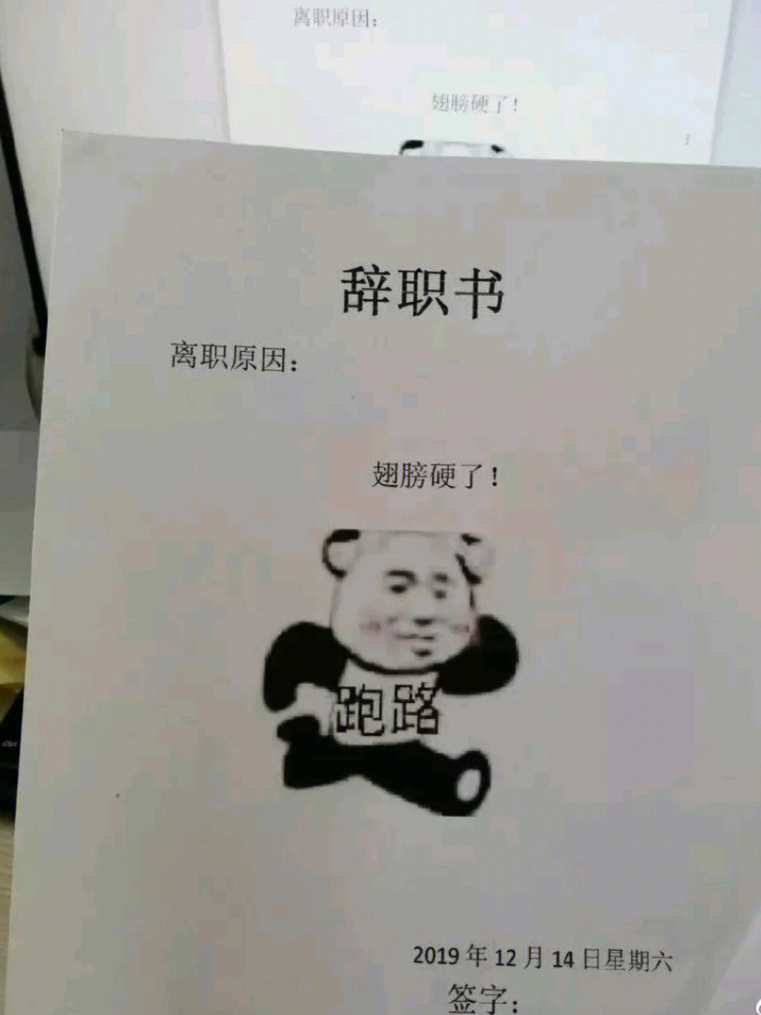 见过最可爱的离职申请书