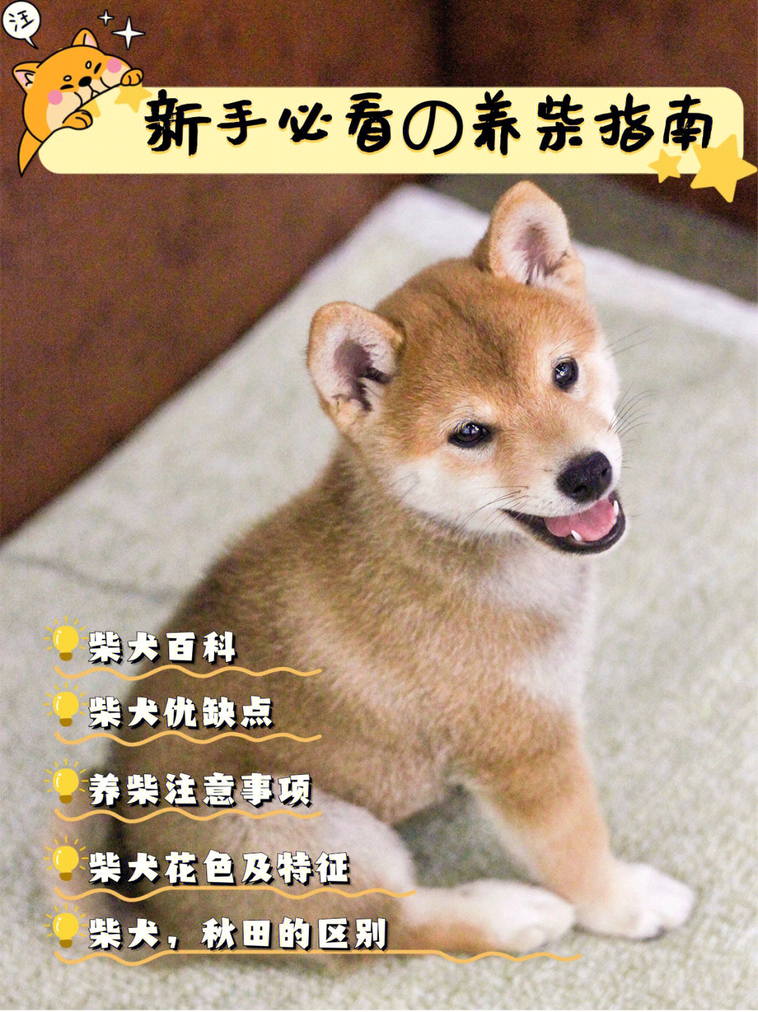 96一,柴犬百科柴犬是体型中等并且最古老的日本犬,性格活泼好动