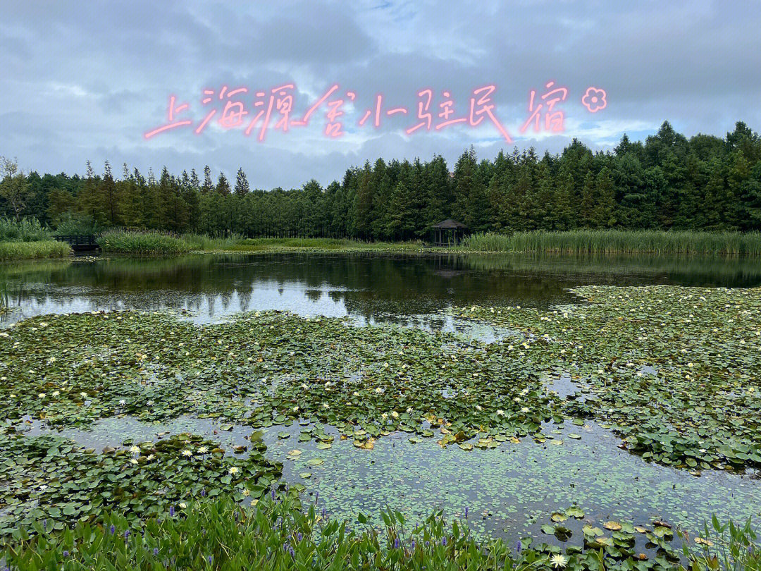 上海长兴岛景点介绍图片