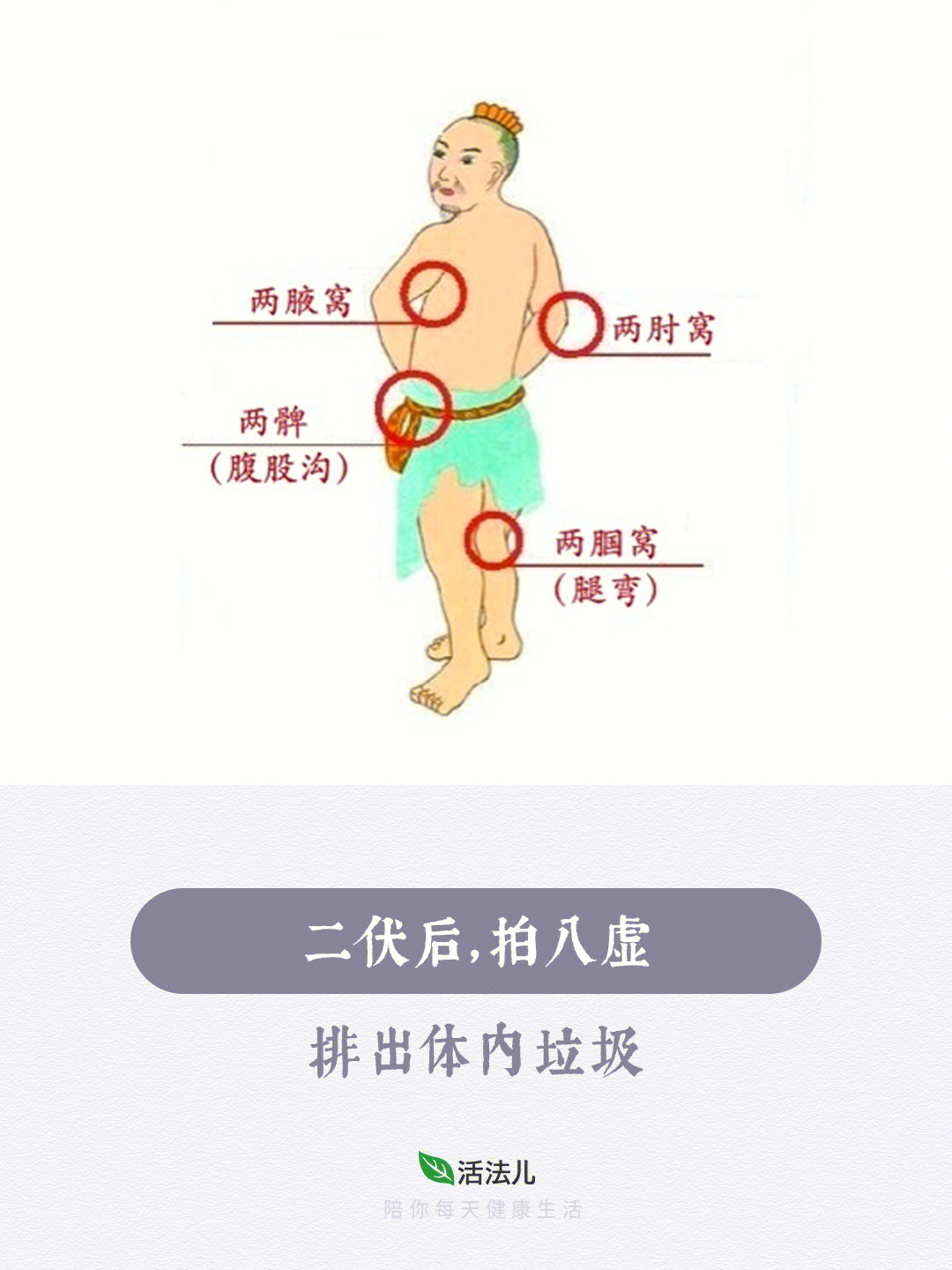 腘静脉的准确位置图片图片