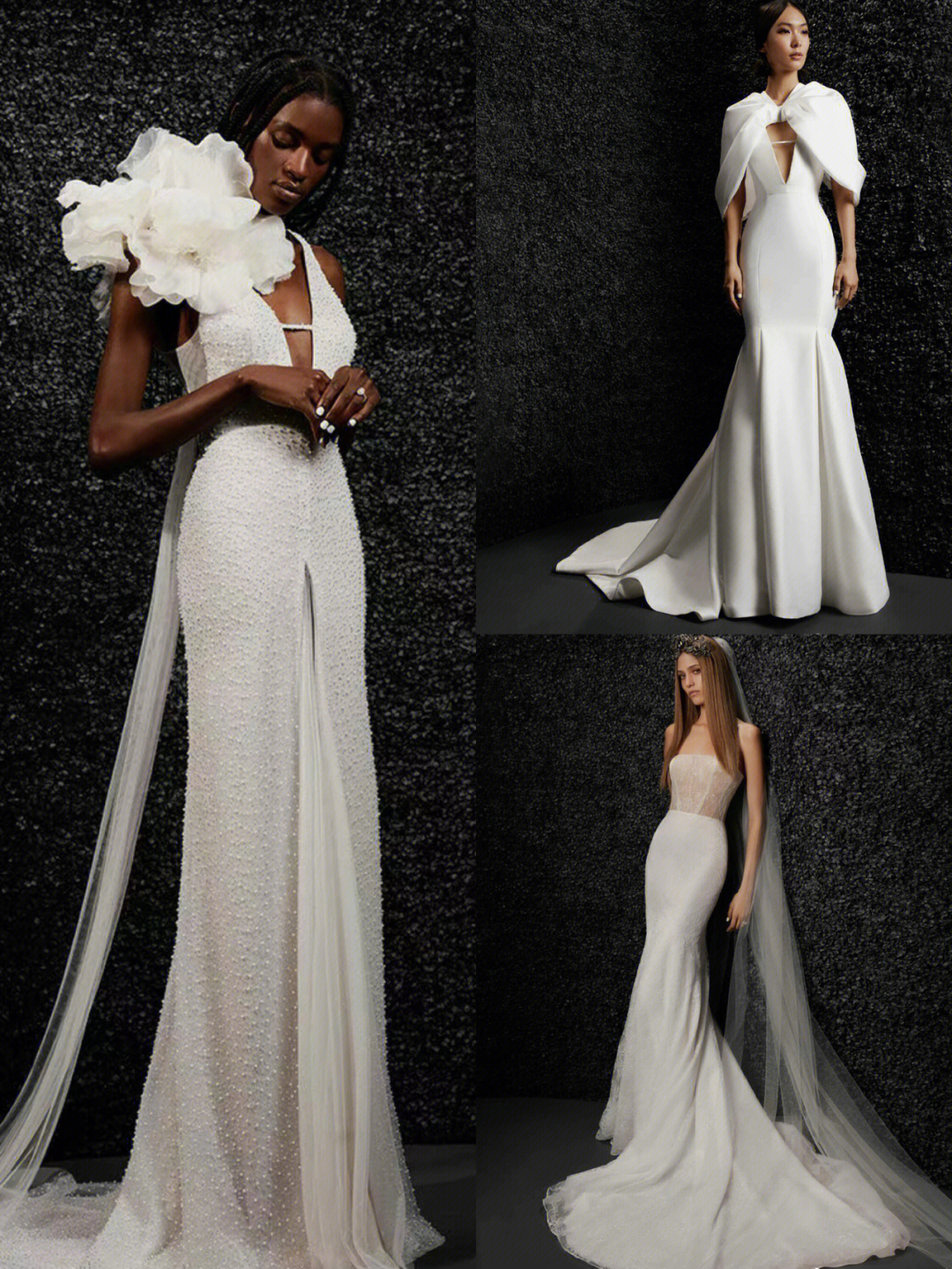 vera wang2014图片