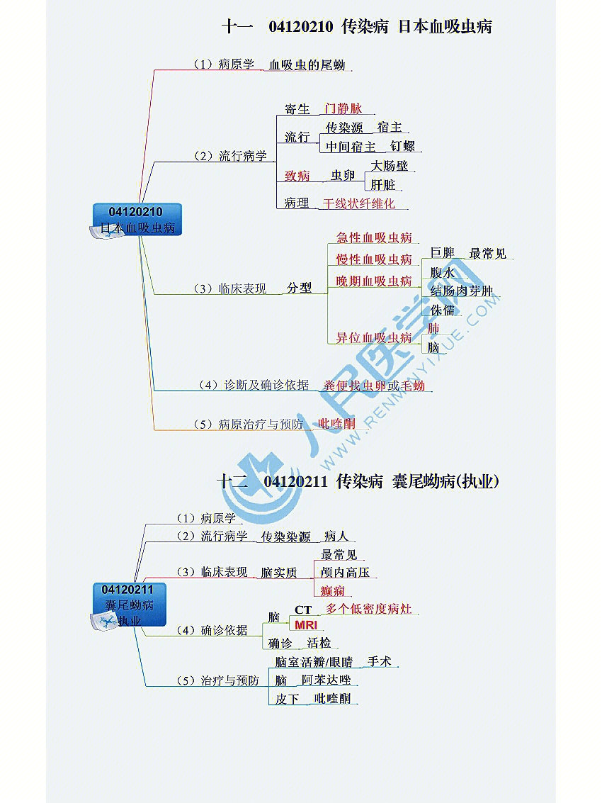 临床病例分析思维导图图片