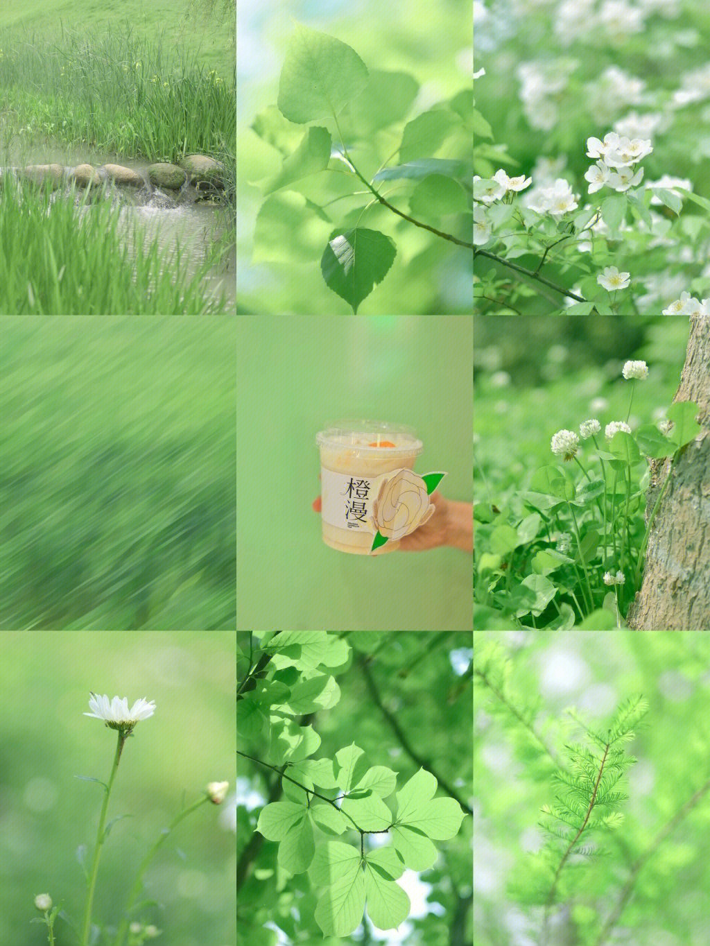 武汉拍照五月用这个抹茶绿滤镜迎接夏天吧