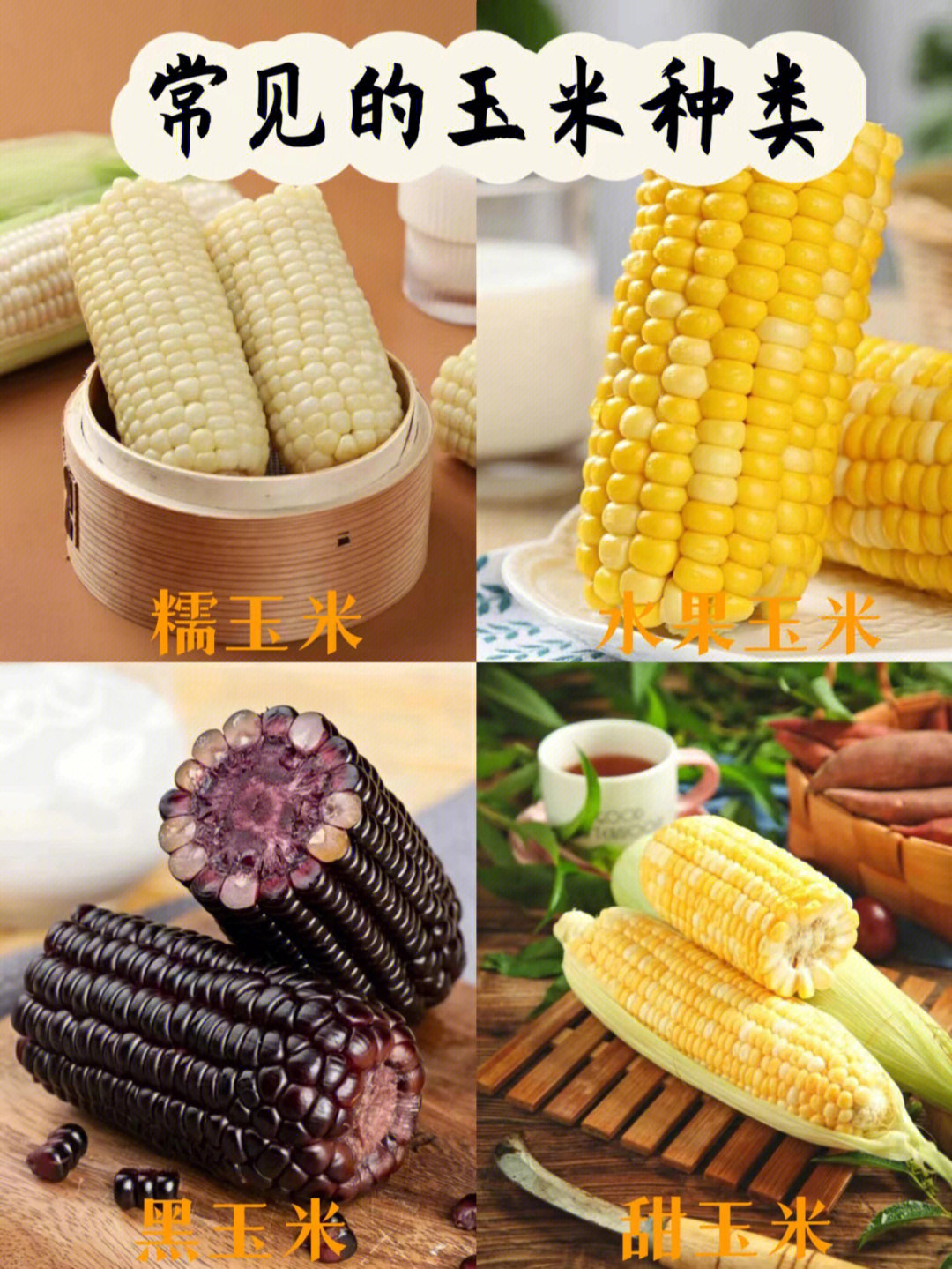 常见的玉米种类及特点