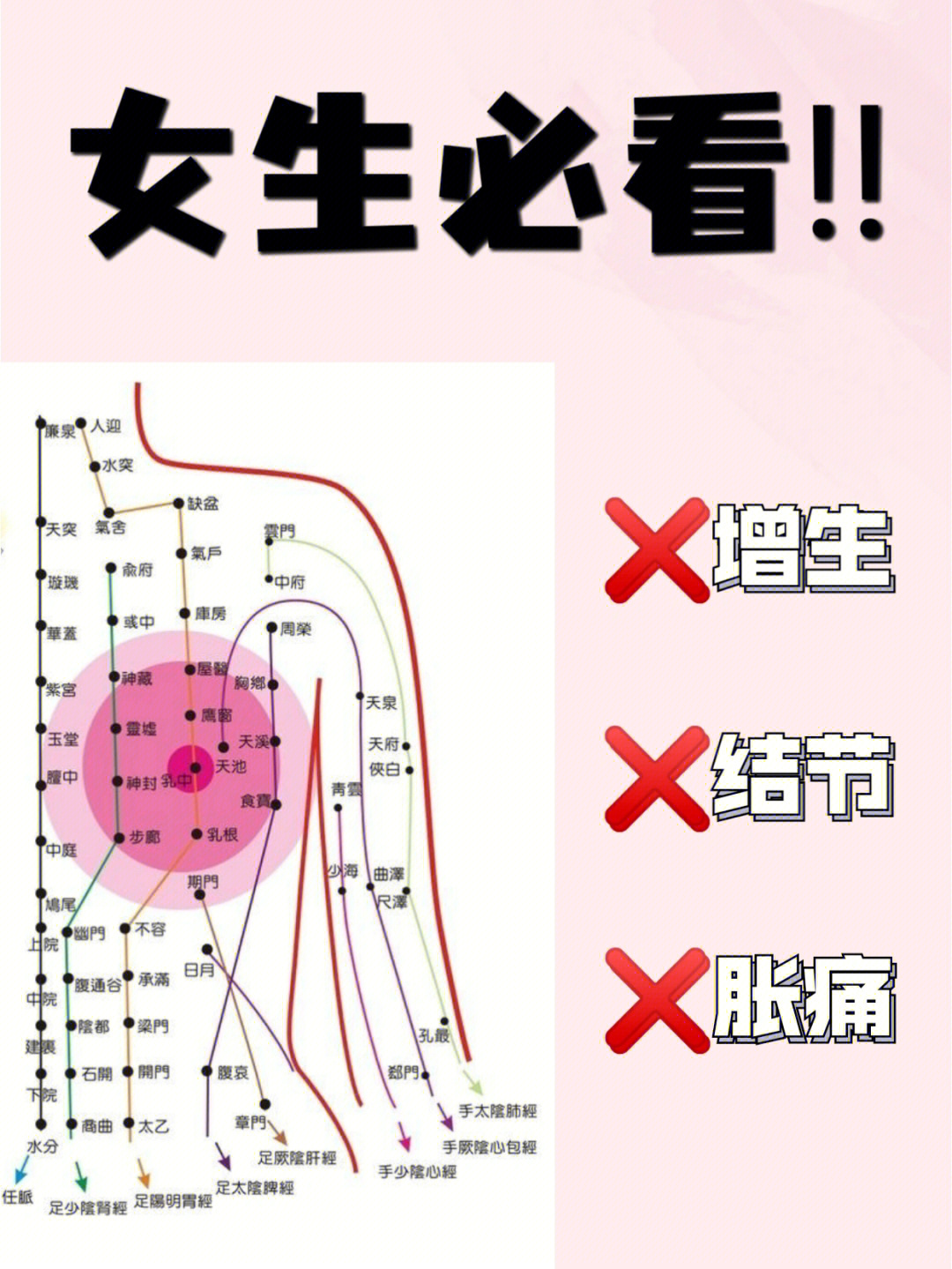 乳腺四大区域图图片