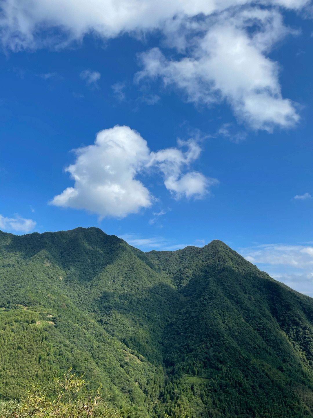 青山白云有人家