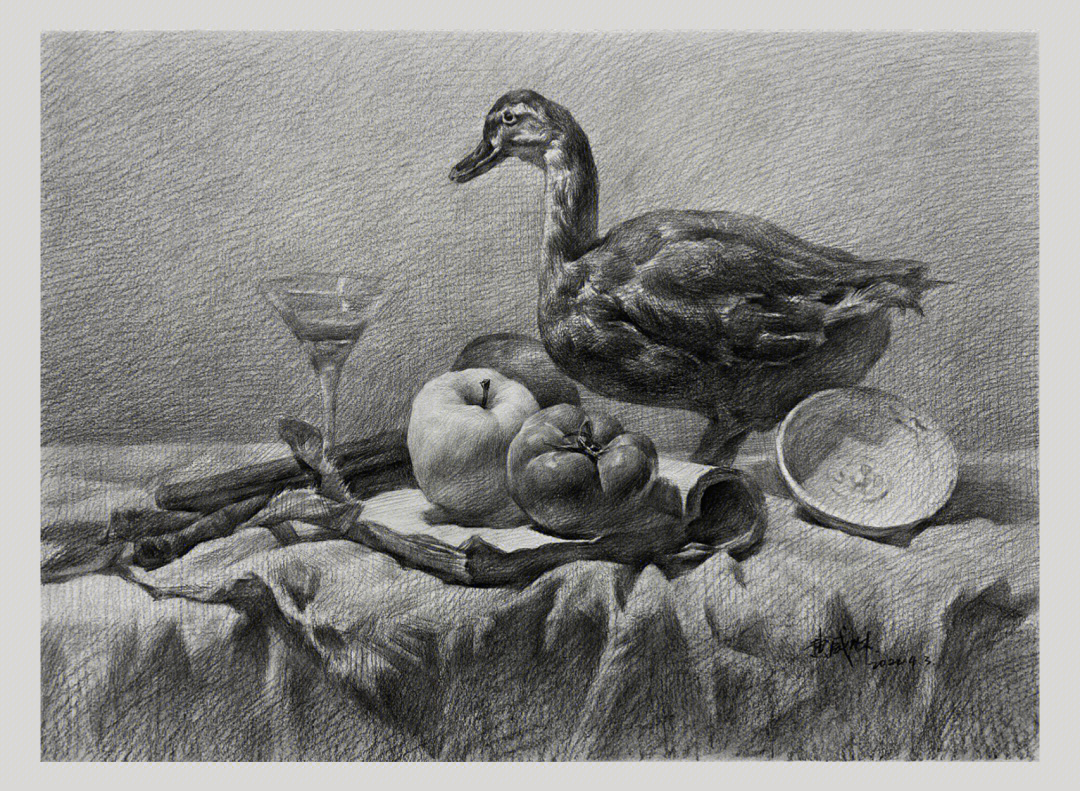 鸭子的素描画法图片