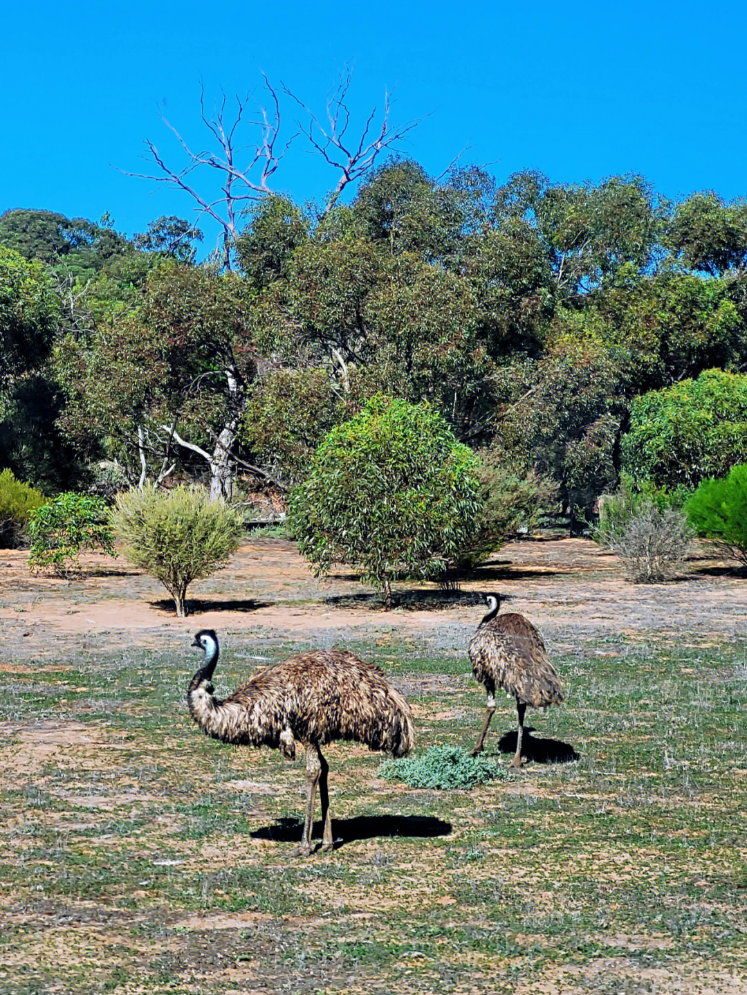 南澳野生动物园monartosafaripark