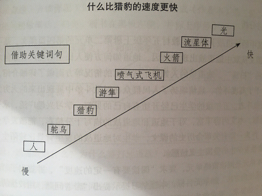 五上什么比猎豹的速度更快教学设计