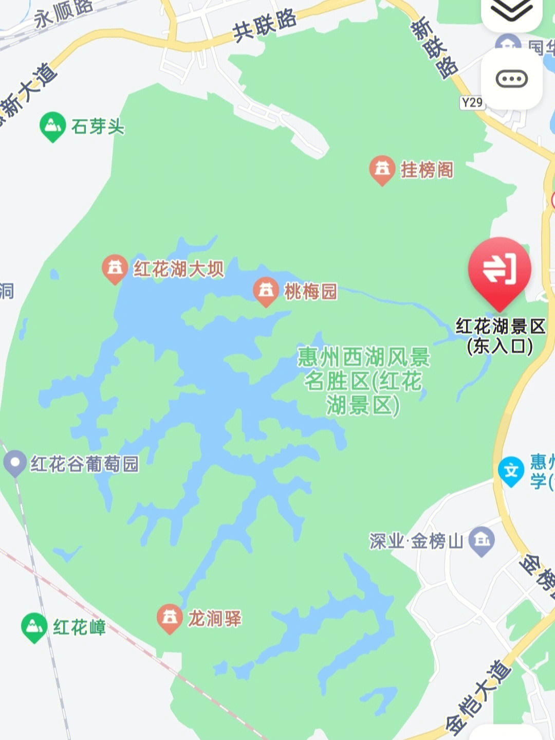 惠州红花湖大鱼吃人图片