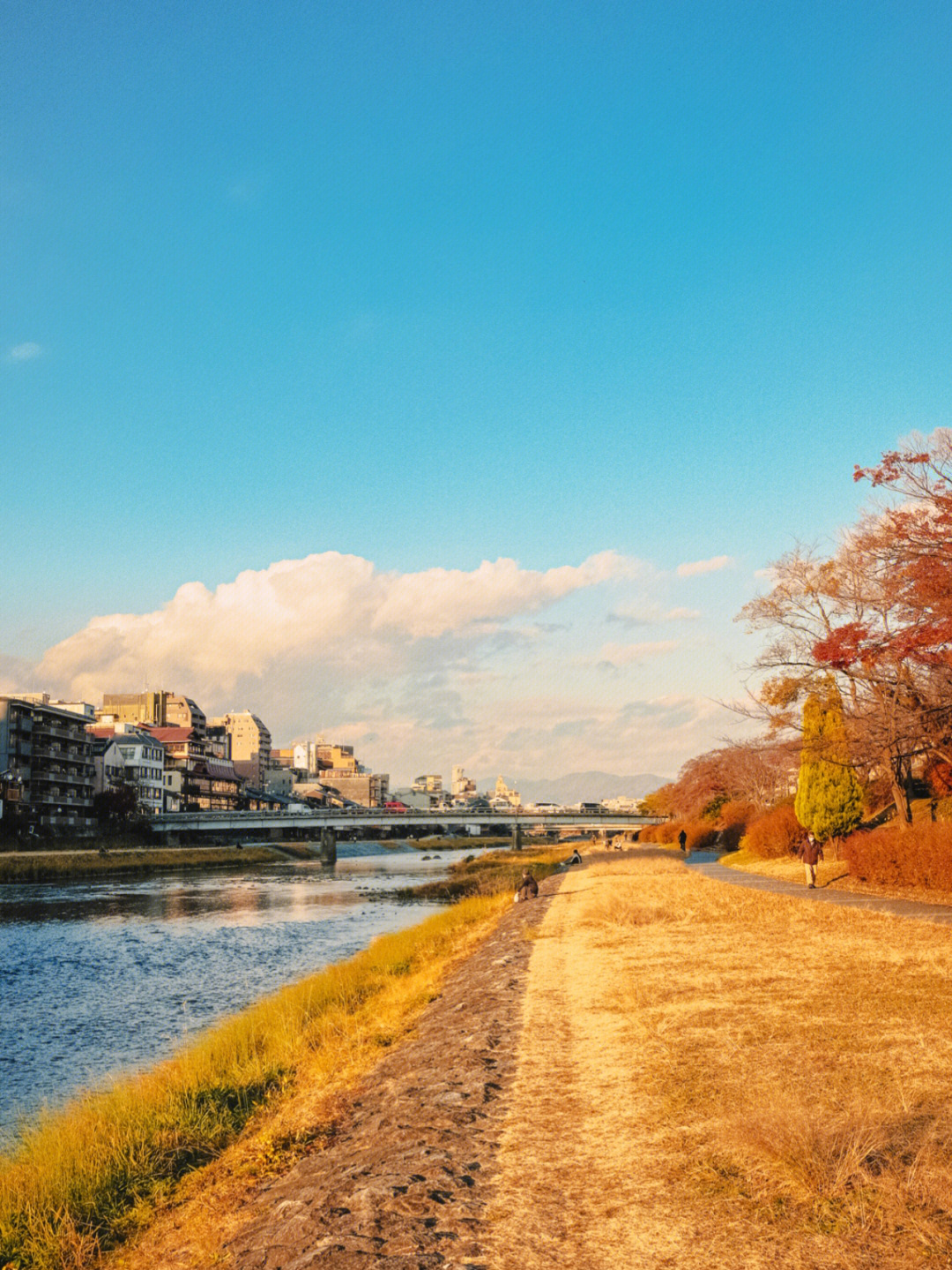 日本千叶县鸭川市图片