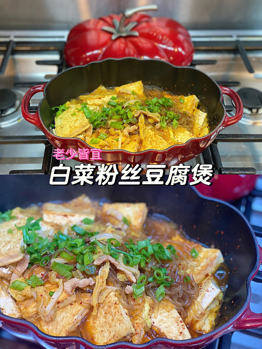 白菜粉丝豆腐煲图片