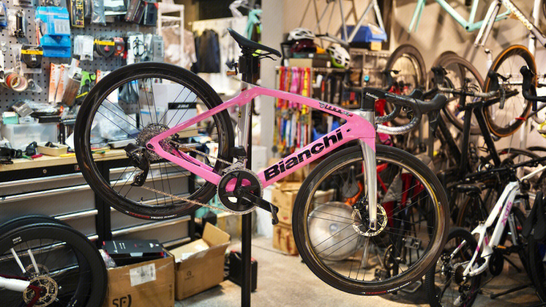 bianchixr4图片