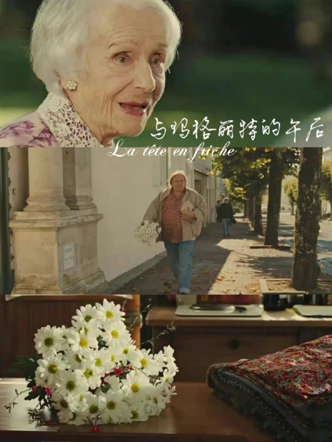 《与玛格丽特的午后|温暖治愈你�