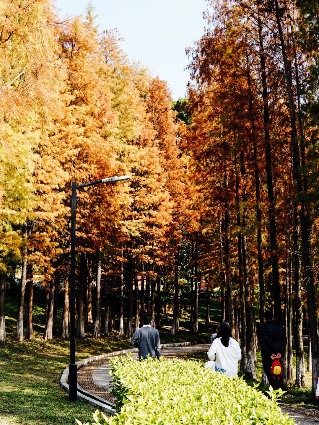 台山石花山公园图片