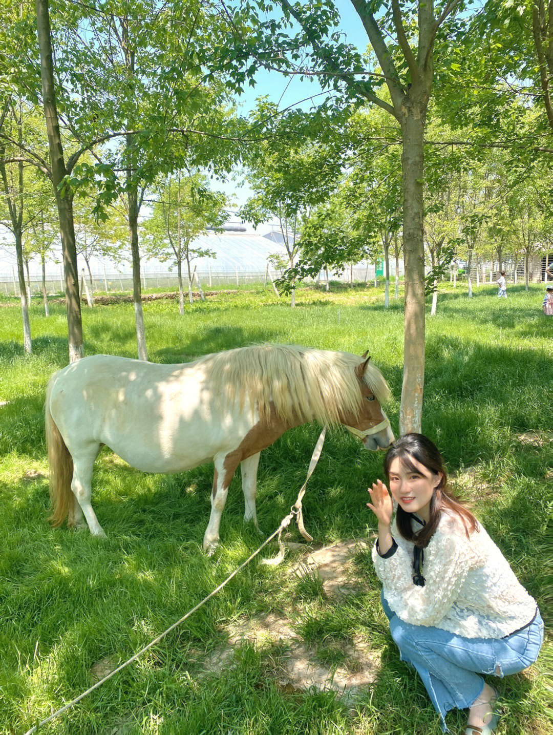 徐州正本农场图片