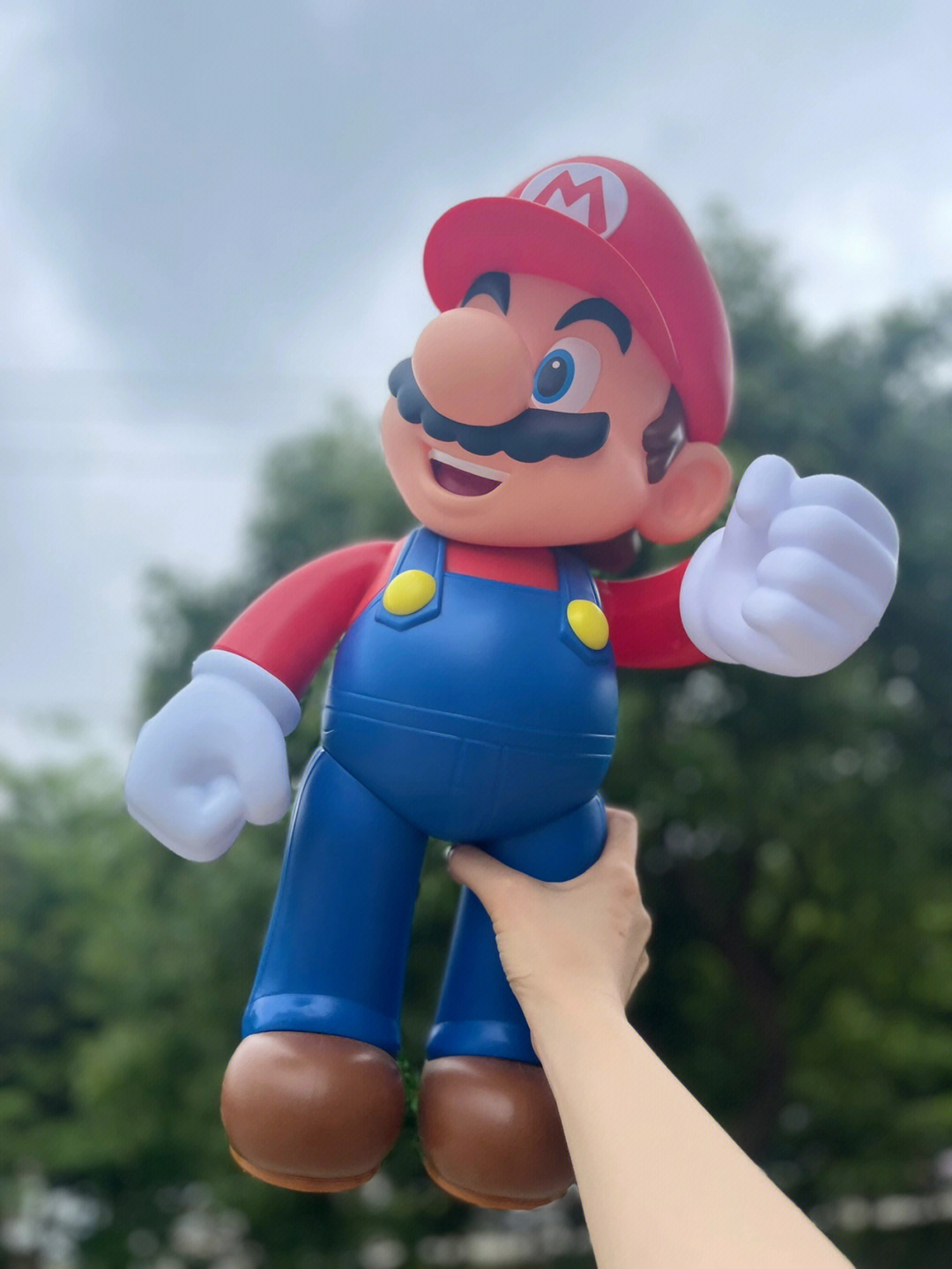 mario站长图片