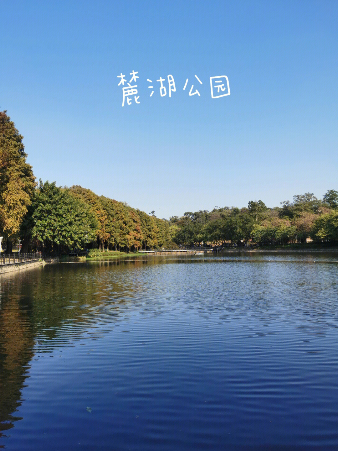 广州市区天然氧吧麓湖公园