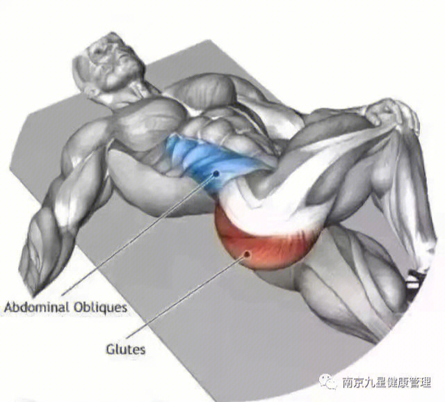 大腿肌肉拉伸动作图解图片