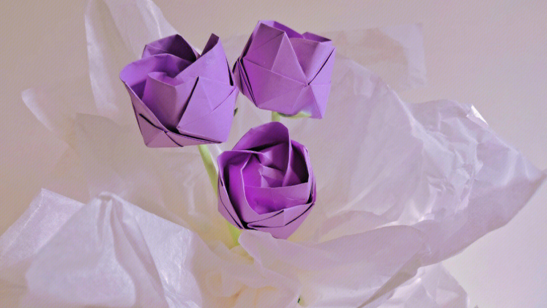 紫色川崎玫瑰寓意图片
