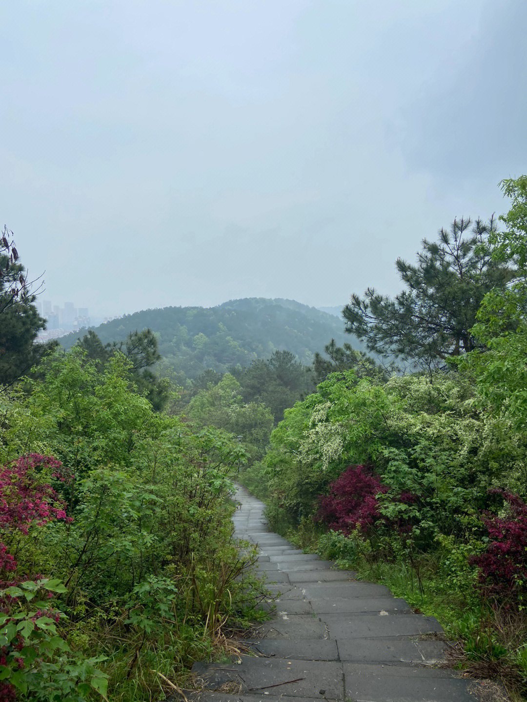 青龙山环山绿道图片