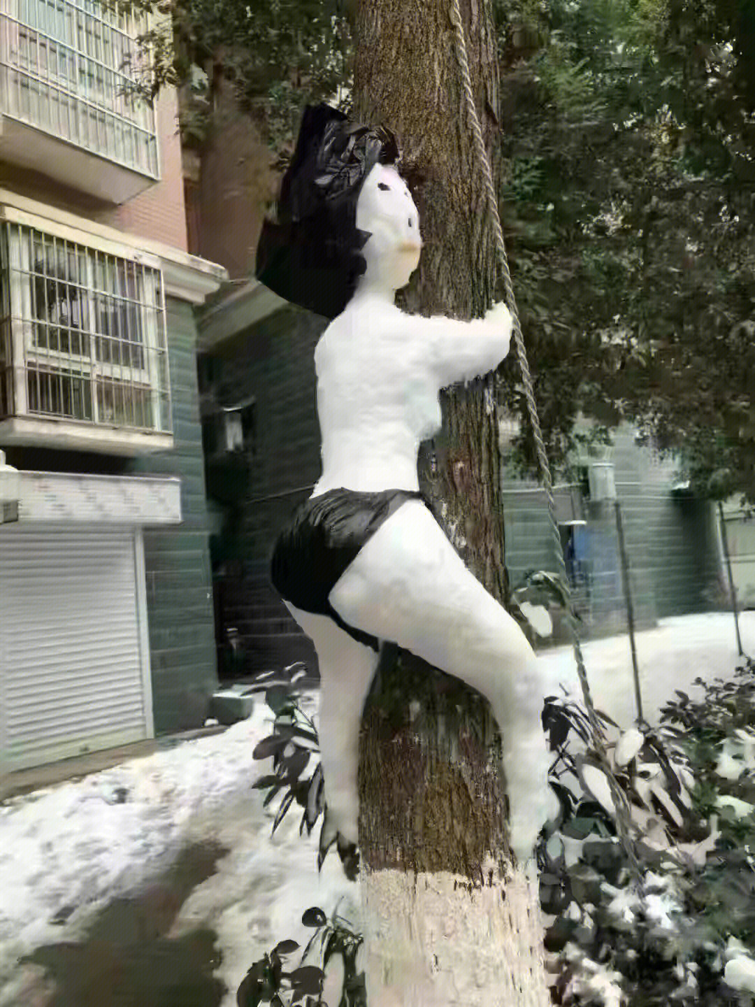 雪人真实 搞笑图片图片