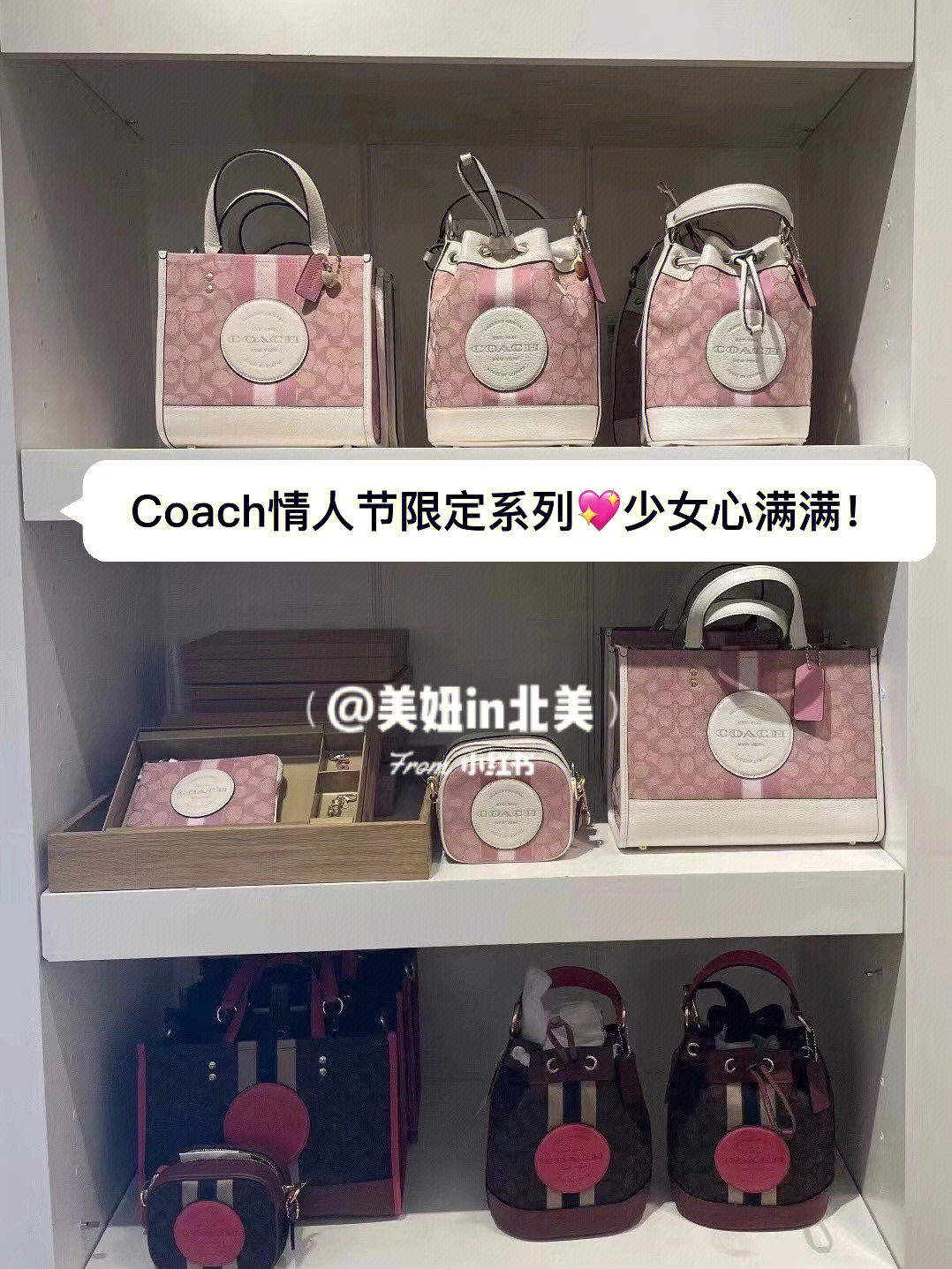 都是我最爱的coach情人节限定新款