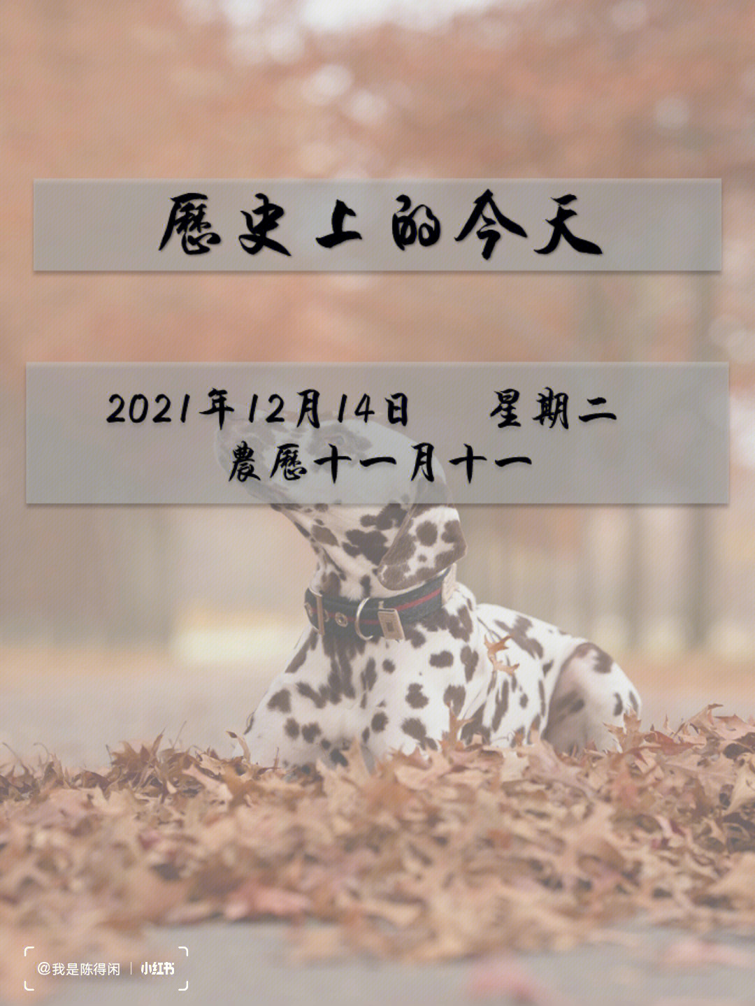 12月14日图片模板图片