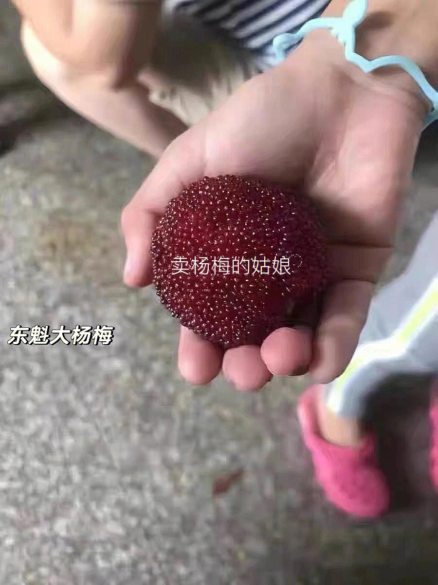 砸单来吧仙梅可以发货了