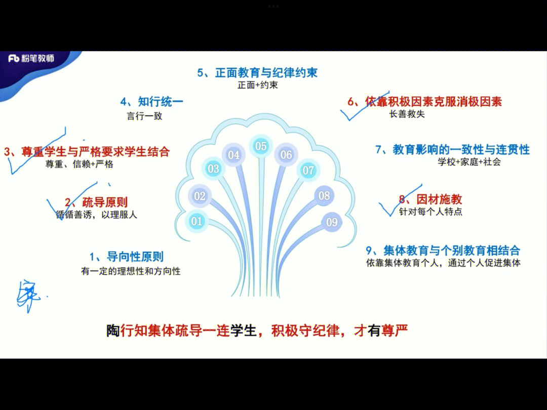 教资德育原则图片