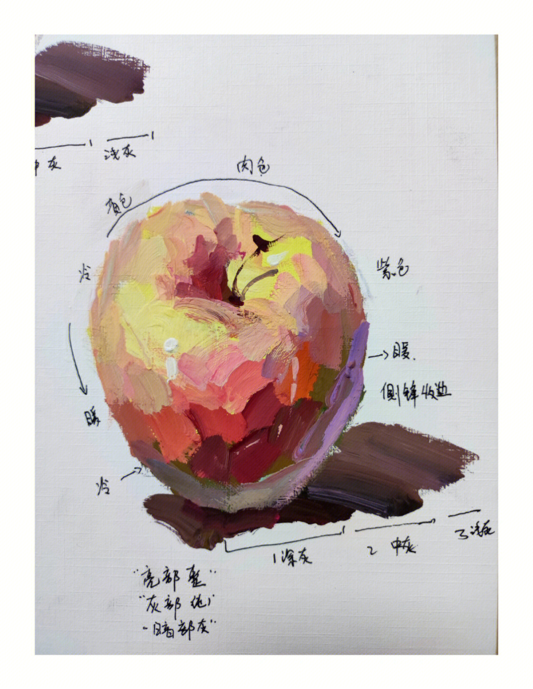 色彩静物苹果的画法图片