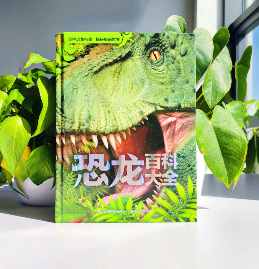 是不是家里的神兽看到恐龙都挪不开眼,嘴边还不时念叨着:什么恐龙最强