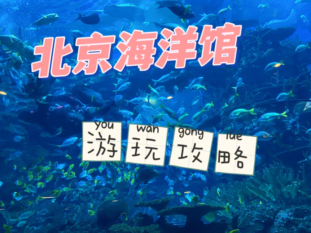 北京海洋馆动物园游玩攻略