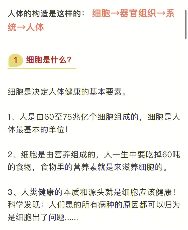 细胞营养的食品她无需消化过程直接粘膜吸收5~10分钟到达全身的各个