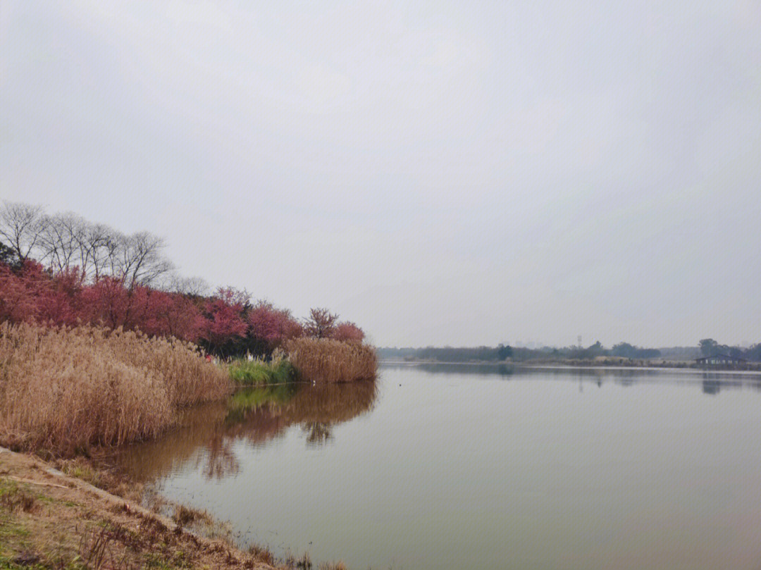 青龙湖湿地公园